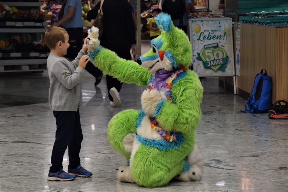 Furries For Kids, NGO, Wien, NPO